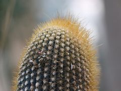 -北京植物园-展览温室