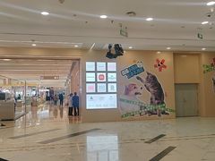 -凯德MALL(望京店)