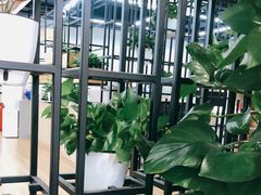 -北泰电信大楼