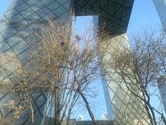 -中央广播电视总台(光华路办公区)