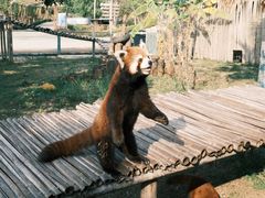 -泉州海丝野生动物世界