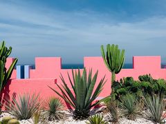 -漳州滨海火山岛自然生态风景区