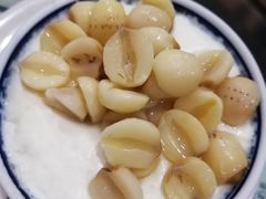 -俊丽双皮奶甜品店