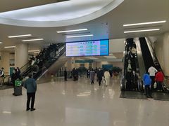 -中国人民解放军总医院