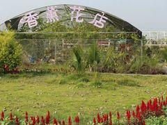 -紫颐香薰山谷景区