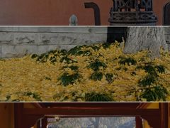 -宝通禅寺