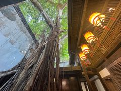 -文儒九号·闽菜馆(三坊七巷店)