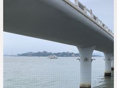 -演武大桥观景平台