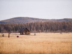 -塞罕坝国家级自然保护区