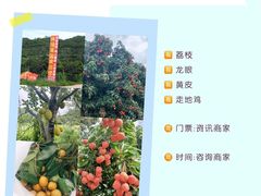 -珠海海泉湾神秘岛亲子乐园