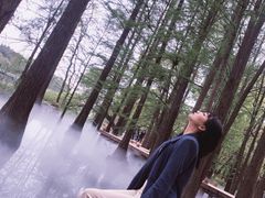 -东湖落雁景区