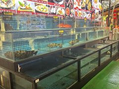 -陶缘一号·四季缘·老字号顺德菜·户外婚礼家宴(西滘店)