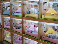 -宠物兔专门店(天丰利市场店)