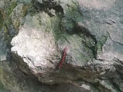 -杭州黄龙洞