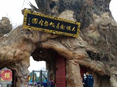 -大槐树寻根祭祖园