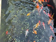 -长春观