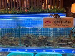 水产区-蟹将军·松叶蟹和牛日料放题自助(K11店)