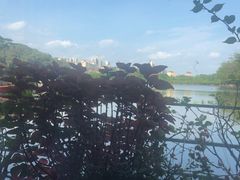 -三水森林公园