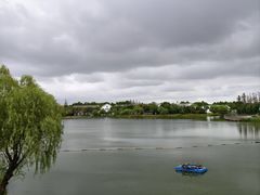 -上海长兴岛郊野公园