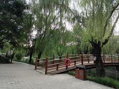 -元大都城垣遗址公园