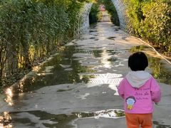 -意大利农场度假村