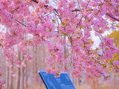 -上海辰山植物园