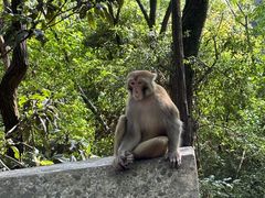 -黔灵山公园
