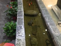 店门口鱼-湘与香缘·湖南菜(王府井北京市百货大楼店)