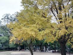 -汇龙潭