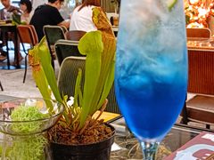 -PlantsEatery·植物食堂(REX春熙店)