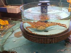 -怀德酒楼·粤菜·海鲜·茶点(宝安国际机场店)