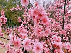 -白塘生态植物园