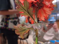 -一坐一忘云南菜(卓悦中心)