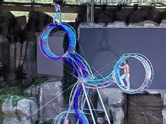 -杭州野生动物世界