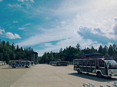 -汤旺河林海奇石景区