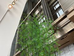 -上海柏悦酒店·世纪100牛排馆