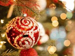 -上海齐鲁万怡大酒店·辣椒屋咖啡厅