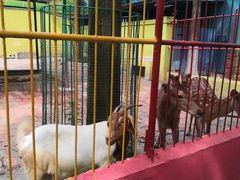 -荆州中山公园动物园