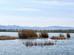 -野鸭湖国家湿地公园
