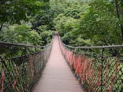 -大余丫山旅游度假区