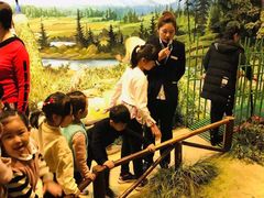 -陕西自然博物馆