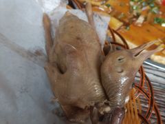 -石岐乳鸽村(桥观坊南四巷店)
