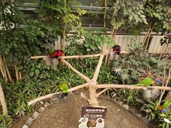 -南宫五洲植物乐园