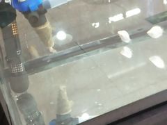 -骆驼日式搬家收纳整理