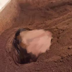 -茉秀必瘦站