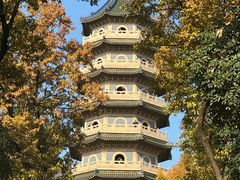 -灵谷景区