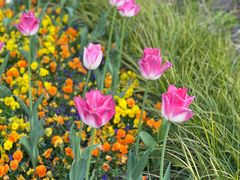 -豫园志愿服务青年中心