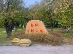 -杨桃公园