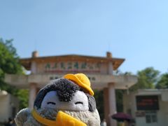 门面-广东茂名森林公园