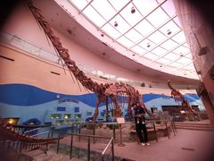 -陕西自然博物馆